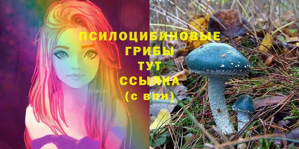 не бодяженный Алексин
