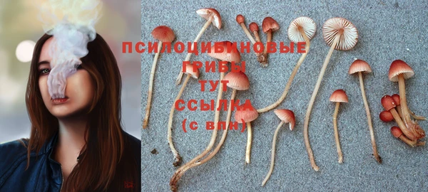 не бодяженный Алексин