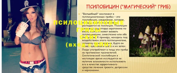 не бодяженный Алексин