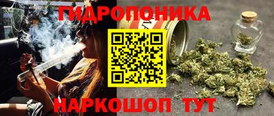 крисы Комсомольск-на-Амуре