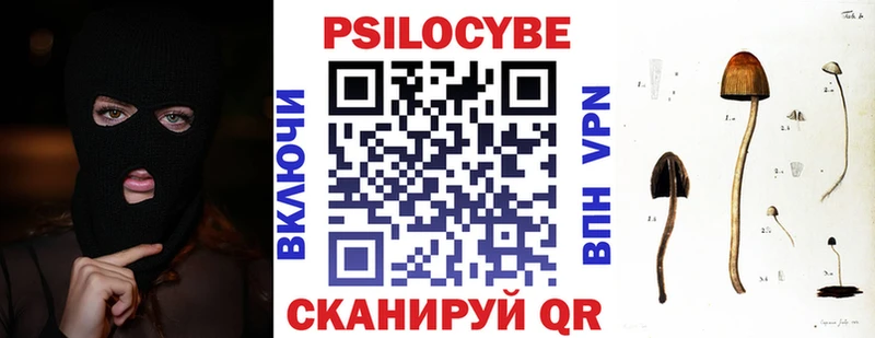 omg ТОР  Кинель  Псилоцибиновые грибы Cubensis 