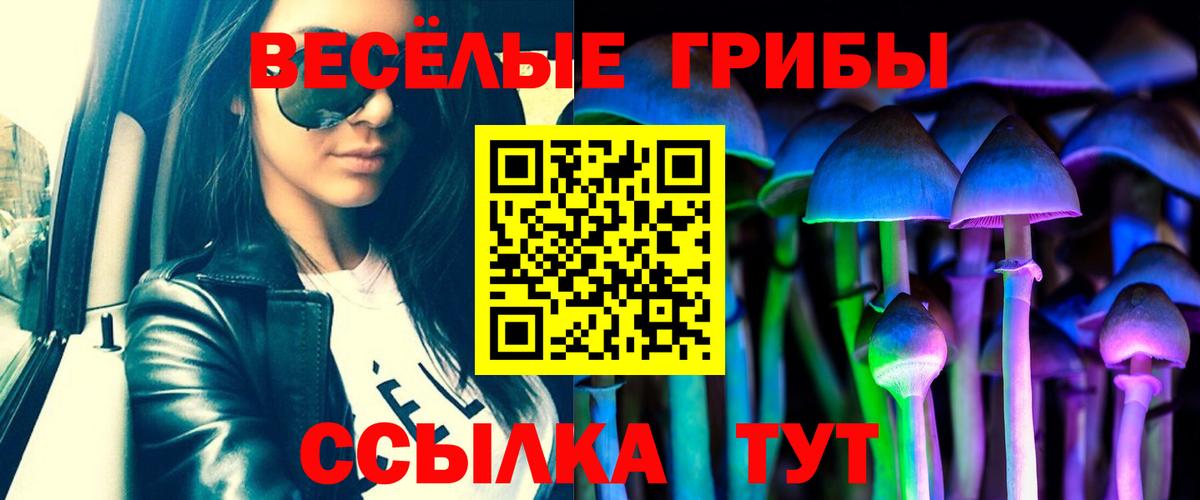 Псилоцибиновые грибы Psilocybe  Псилоцибиновые грибы мухоморы  Кинель  Вход с VPN 